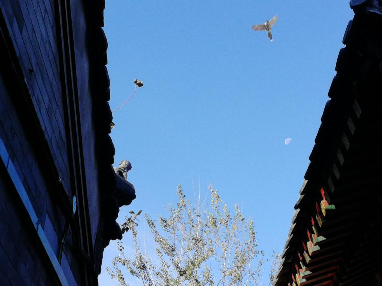 Отель Beijing Fly By Knight Courtyard Экстерьер фото